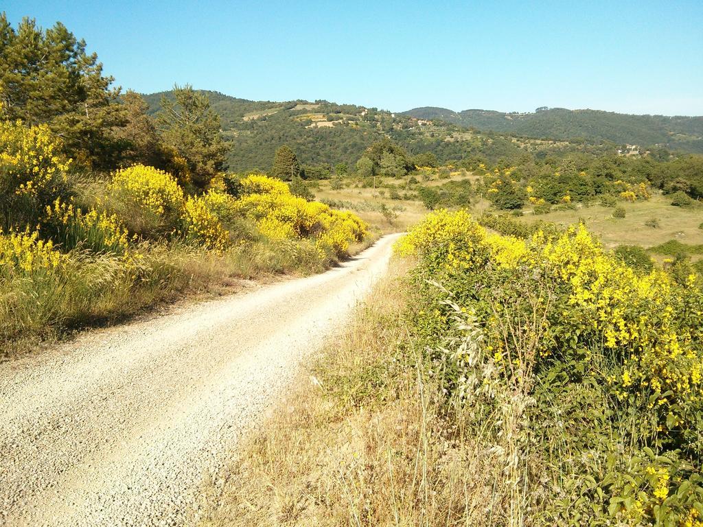 Forte Di Tregognano Chiaveretto Номер фото